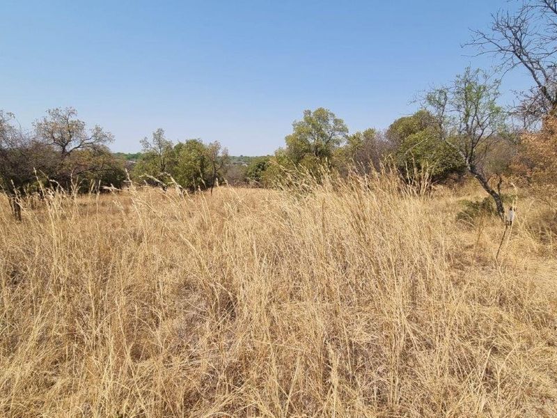 A view of a vacant residential plot featuring natural dry grass and indigenous trees.