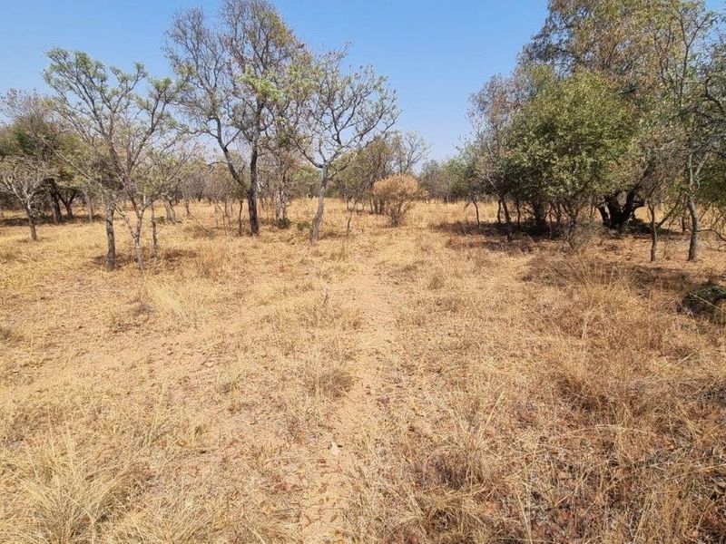A view of the vacant residential land featuring natural vegetation and established trees, offering a blank canvas for future development.