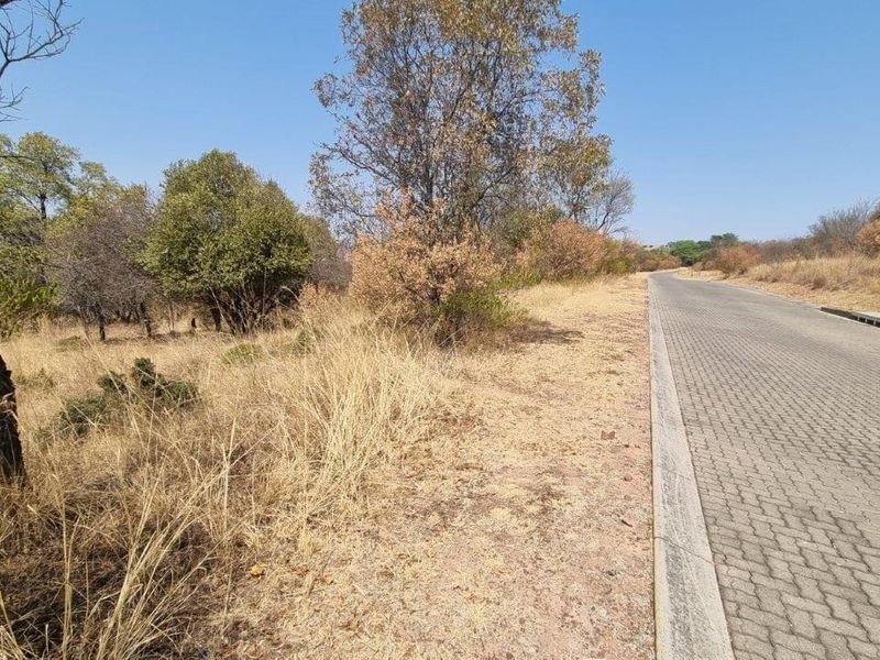 A view of the paved street and curbing adjacent to the vacant residential land, featuring established trees and natural vegetation.