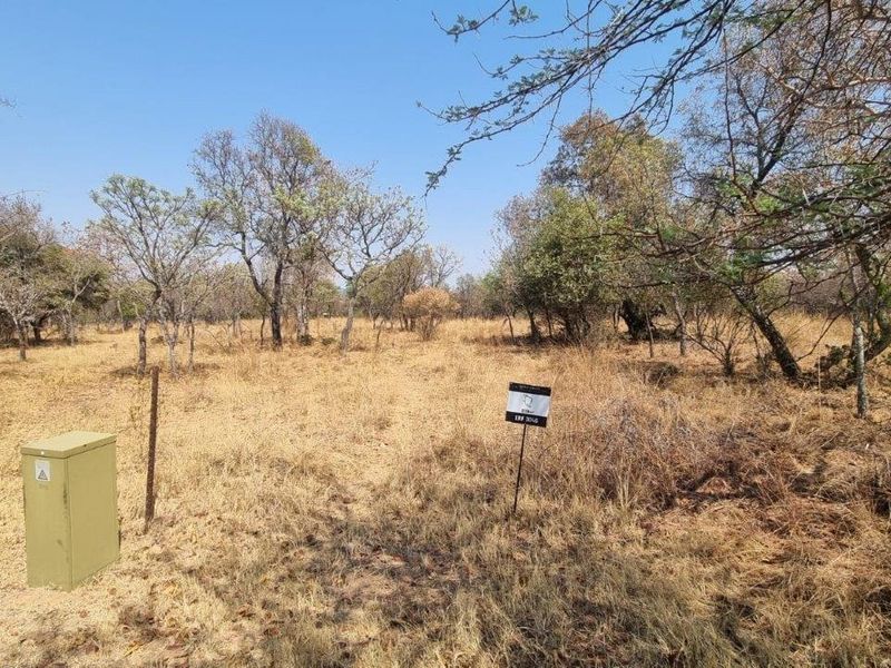 A vacant residential plot featuring natural vegetation, mature trees, and an existing electrical utility connection point.