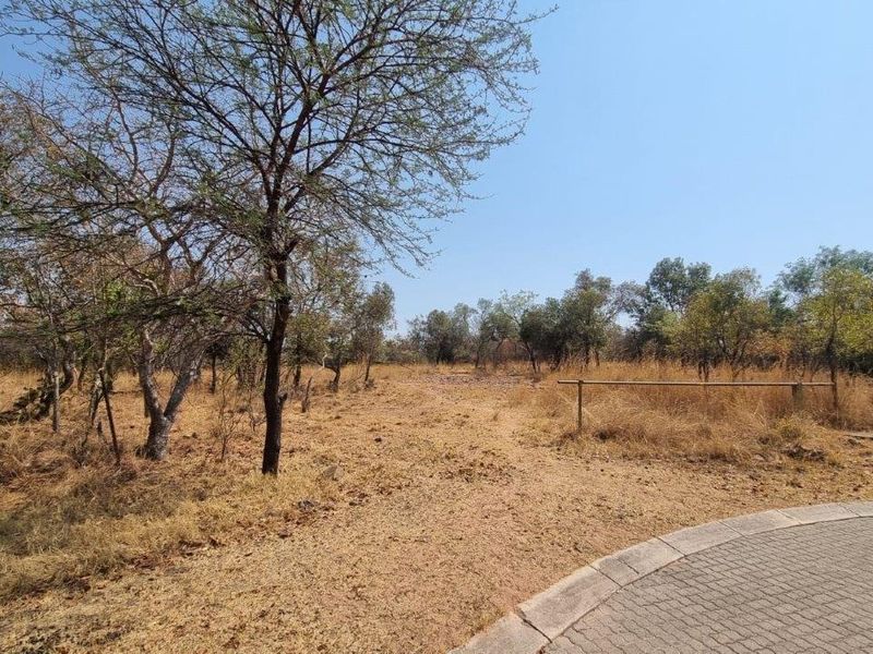 A vacant residential plot featuring natural vegetation, mature trees, and a paved driveway entrance, offering a blank canvas for development.