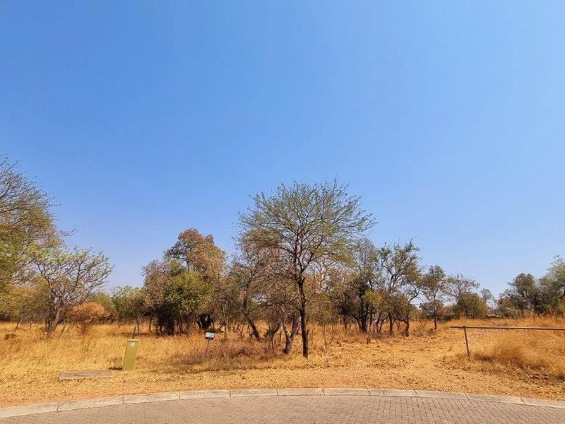 A vacant residential stand featuring natural vegetation, indigenous trees, and a paved driveway entrance, offering a blank canvas for development.