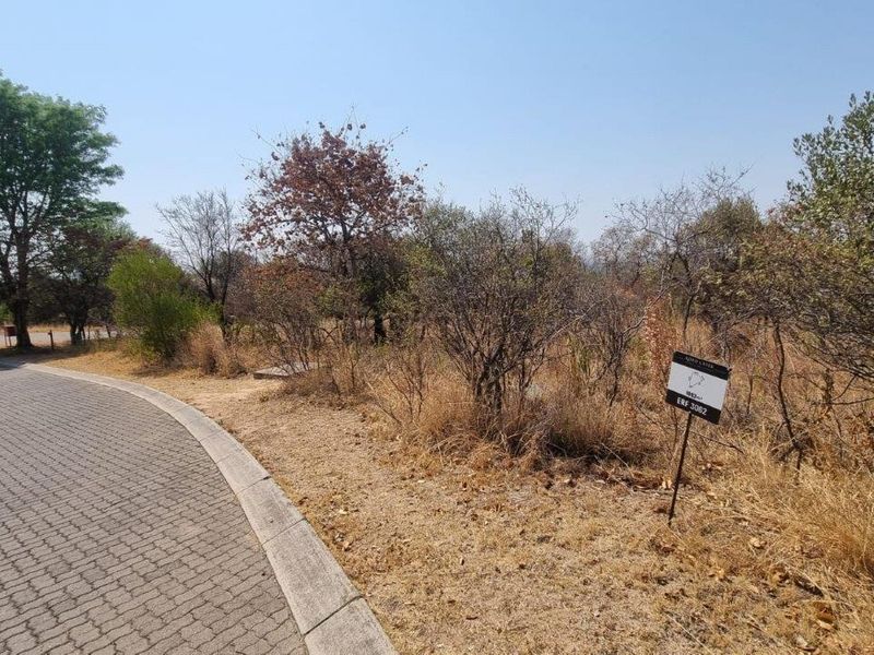 A view of a vacant residential erf featuring paved road access, concrete curbing, and established indigenous vegetation.