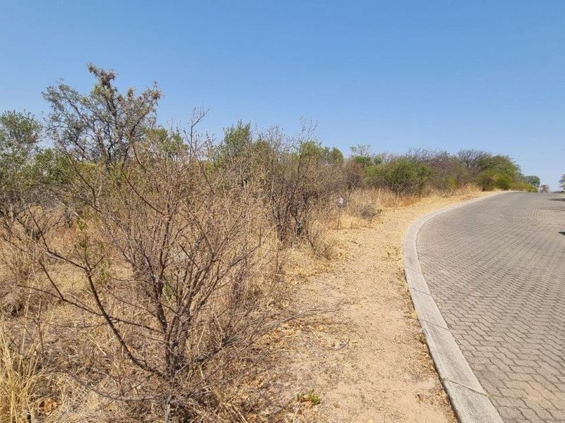 A view of a paved residential street bordering a vacant plot of land with natural vegetation.