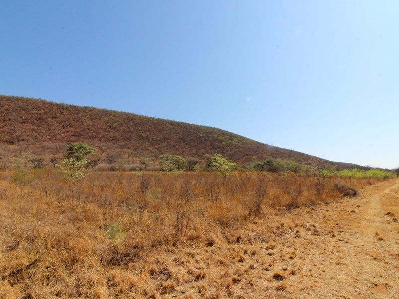 Prime 160HA Agricultural Farm with Established Infrastructure - Photo 4