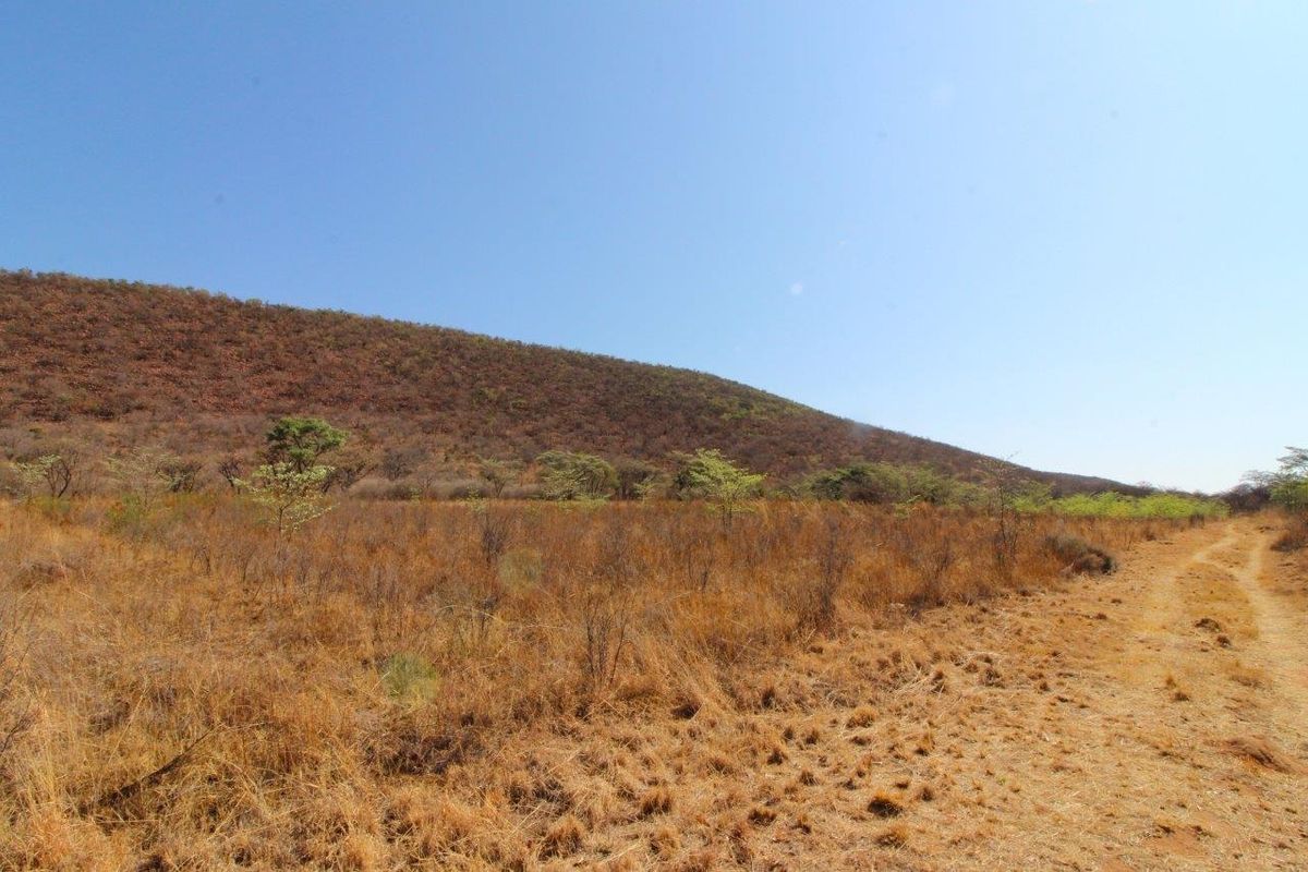 Prime 160HA Agricultural Farm with Established Infrastructure - Photo 4