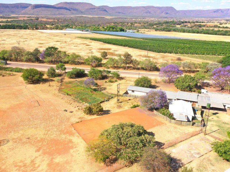 Prime 160HA Agricultural Farm with Established Infrastructure - Photo 3