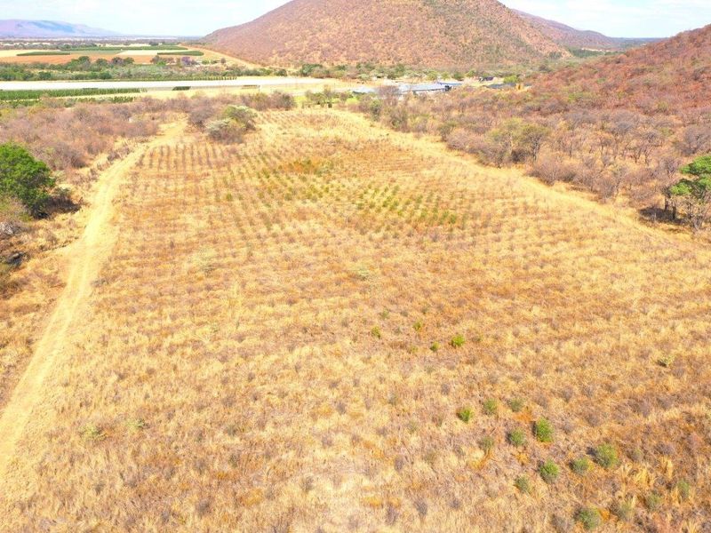 Prime 160HA Agricultural Farm with Established Infrastructure - Photo 6