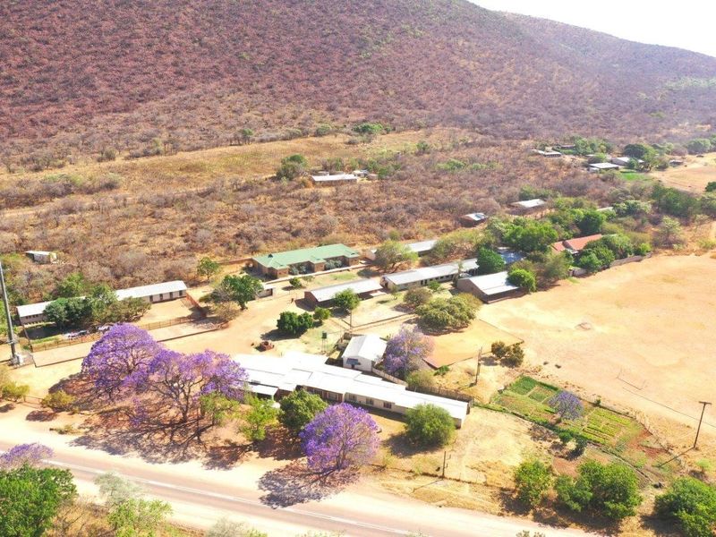 Prime 160HA Agricultural Farm with Established Infrastructure - Photo 5