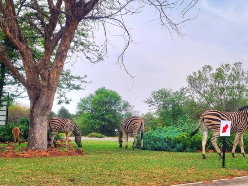 Unlock Your Dream Home: Prime Vacant Land in Koro Creek Golf Estate! - Photo 9