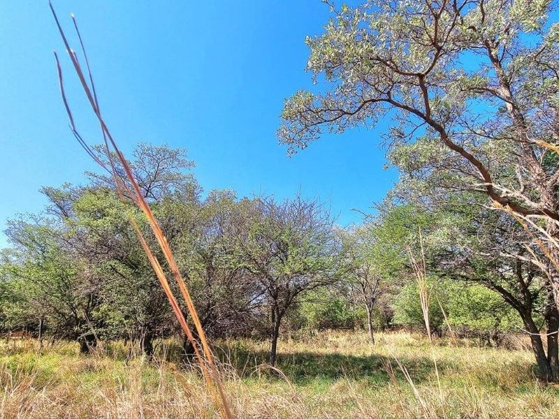 BUILD YOUR DREAM HOME IN A PRESTIGIOUS GOLF ESTATE! - Photo 8