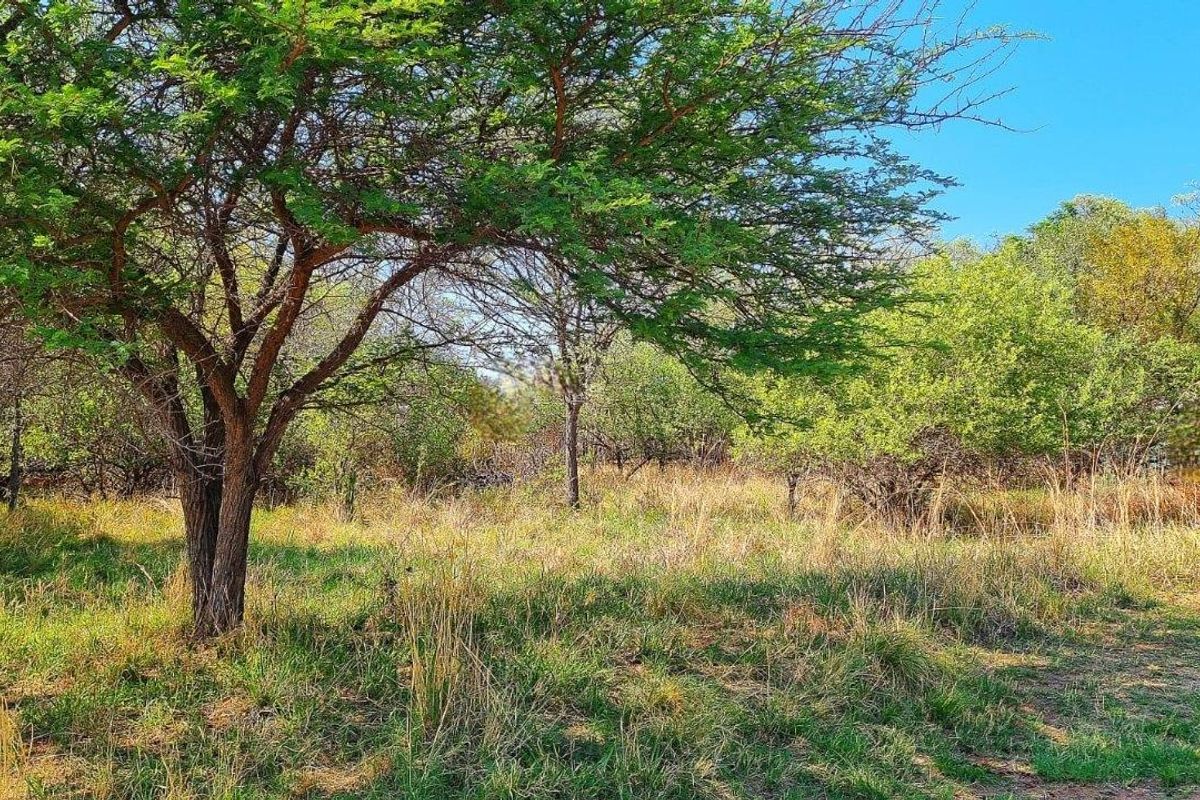 BUILD YOUR DREAM HOME IN A PRESTIGIOUS GOLF ESTATE! - Photo 4