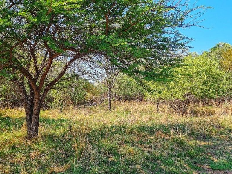 BUILD YOUR DREAM HOME IN A PRESTIGIOUS GOLF ESTATE! - Photo 4