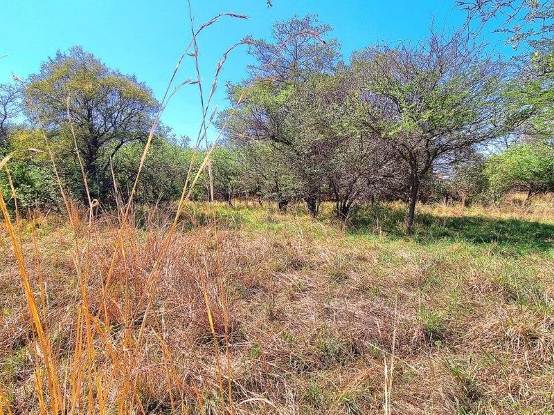 BUILD YOUR DREAM HOME IN A PRESTIGIOUS GOLF ESTATE! - Photo 6