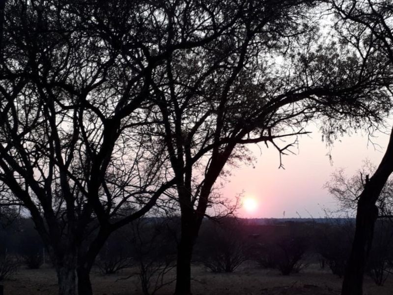 A scenic view of the sunset over the farm landscape, framed by mature indigenous trees.