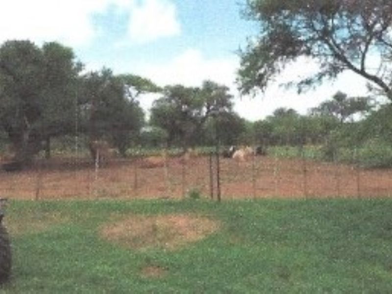 A view of the farm grounds featuring open land, mature trees, and wire perimeter fencing.
