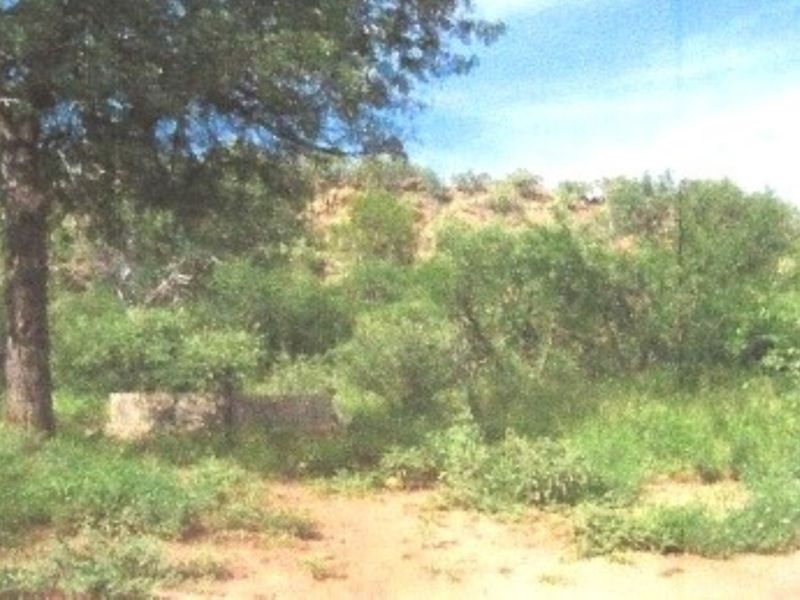A view of a rural farm garden area featuring natural vegetation and a stone water trough.