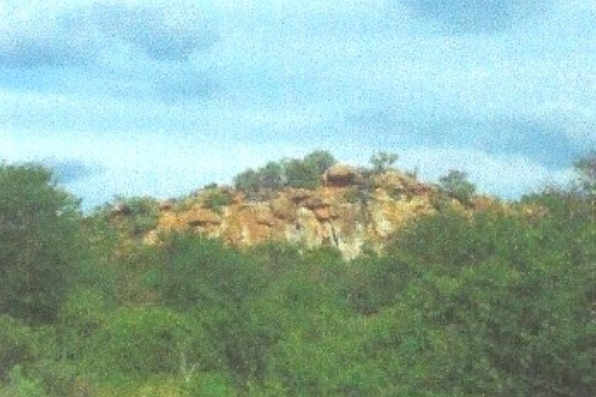 A scenic view of a rocky outcrop surrounded by natural vegetation on the farm property.