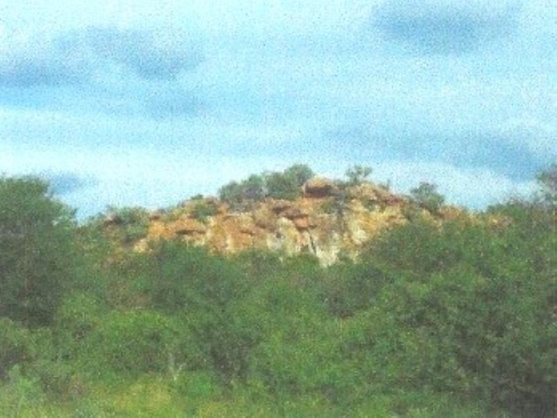 A scenic view of a rocky outcrop surrounded by natural vegetation on the farm property.