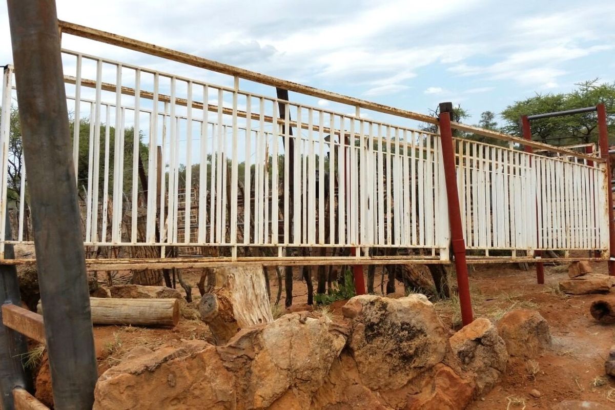 Outdoor livestock handling and fencing infrastructure featuring metal railings and steel support posts set within a rural farm environment.