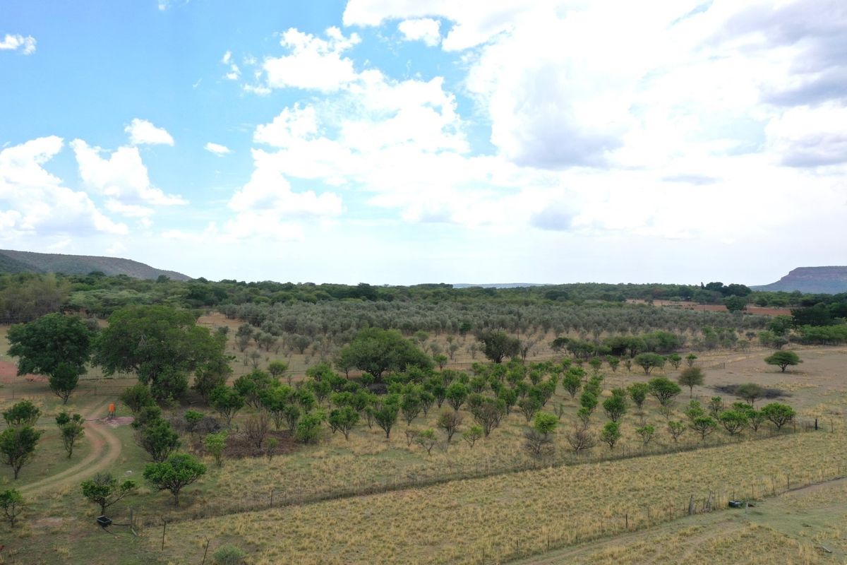 28ha Farm Near Modimolle with Arable Land, Boreholes & Top Infrastructure! - Photo 3