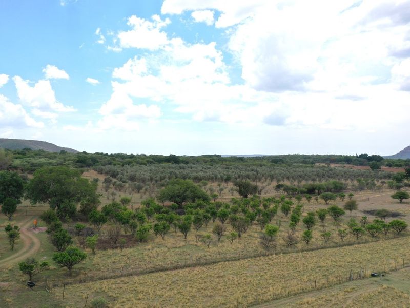 28ha Farm Near Modimolle with Arable Land, Boreholes & Top Infrastructure! - Photo 3