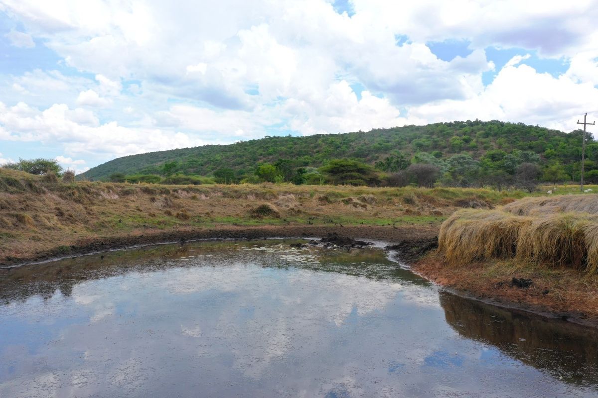 28ha Farm Near Modimolle with Arable Land, Boreholes & Top Infrastructure! - Photo 2