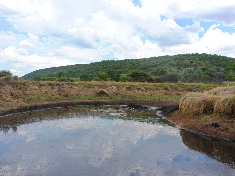 28ha Farm Near Modimolle with Arable Land, Boreholes & Top Infrastructure! - Photo 2