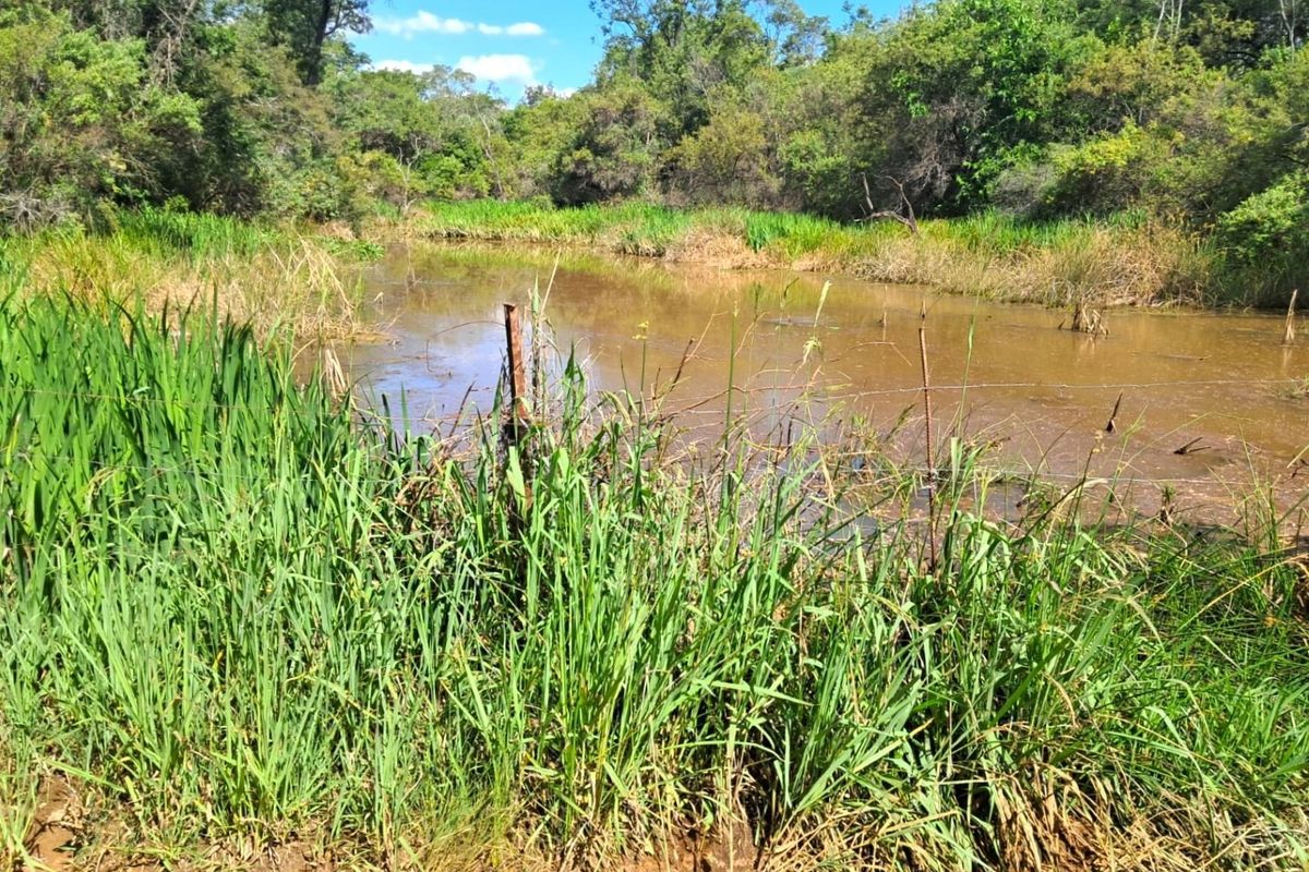 Your Ideal Cattle Farming Opportunity: 329 HA with Excellent Water Resources & Infrastructure! - Photo 3