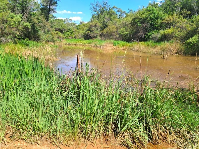 Your Ideal Cattle Farming Opportunity: 329 HA with Excellent Water Resources & Infrastructure! - Photo 3