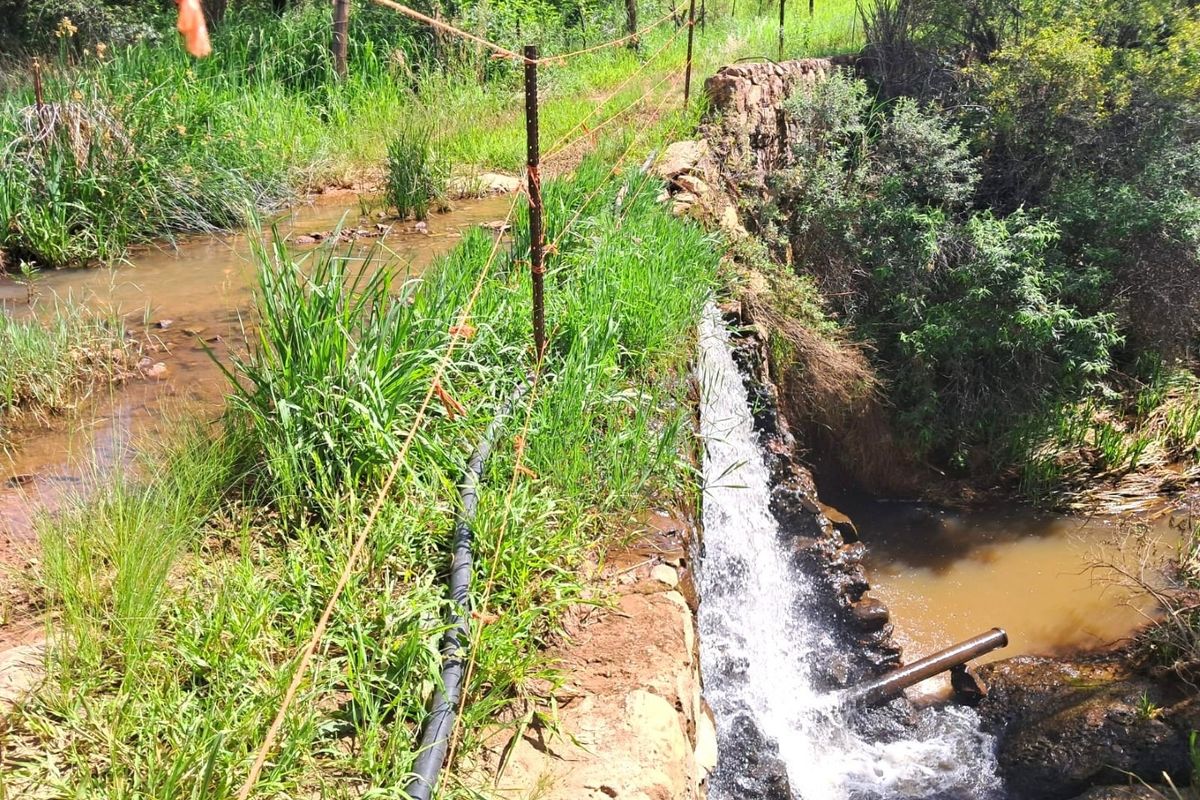 Your Ideal Cattle Farming Opportunity: 329 HA with Excellent Water Resources & Infrastructure! - Photo 4