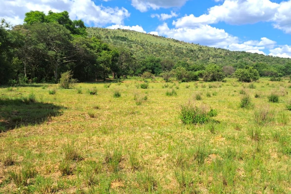 Your Ideal Cattle Farming Opportunity: 329 HA with Excellent Water Resources & Infrastructure! - Photo 2