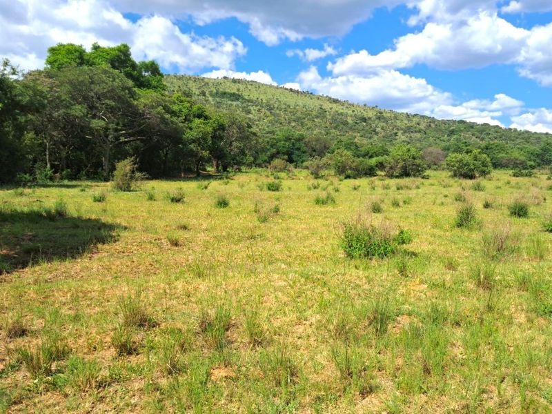 Your Ideal Cattle Farming Opportunity: 329 HA with Excellent Water Resources & Infrastructure! - Photo 2
