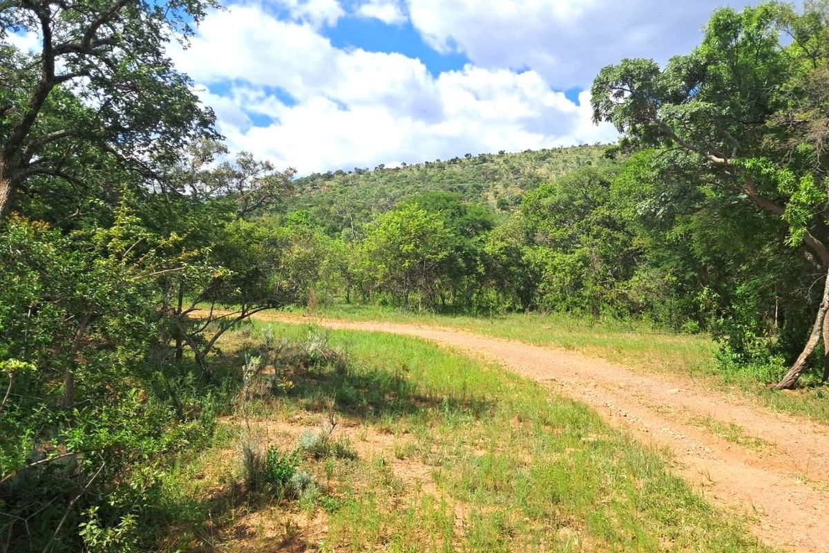 A scenic view of a dirt farm road winding through lush green trees and natural vegetation under a bright blue sky.