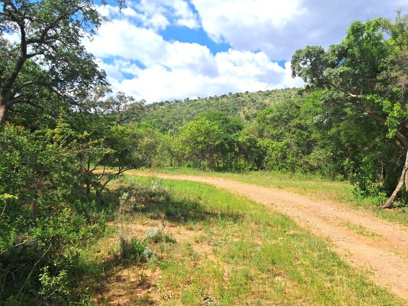 A scenic view of a dirt farm road winding through lush green trees and natural vegetation under a bright blue sky.