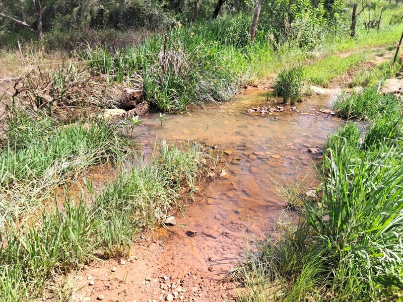 A natural stream flowing through the farm property, featuring rocky beds and surrounding native vegetation.