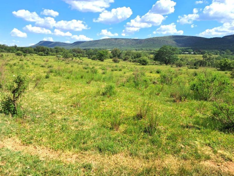 A scenic view of the expansive farm landscape featuring rolling green fields and distant mountain ranges under a clear blue sky.