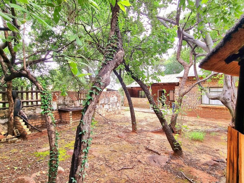 Off-The-Grid Exquisite Guest Farm – 70Ha For Sale - Photo 8