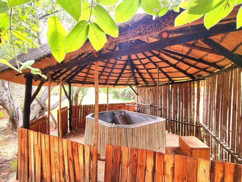 Off-The-Grid Exquisite Guest Farm – 70Ha For Sale - Photo 7