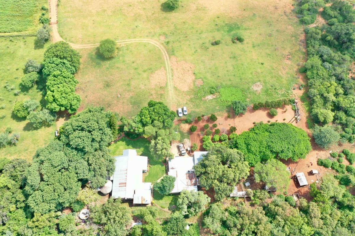 BEAUTIFUL 21HA FARM FOR SALE NEAR MODIMOLLE – PRIME LOCATION ON R101 - Photo 5