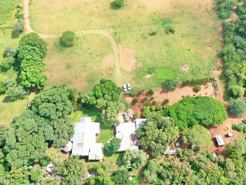BEAUTIFUL 21HA FARM FOR SALE NEAR MODIMOLLE – PRIME LOCATION ON R101 - Photo 5