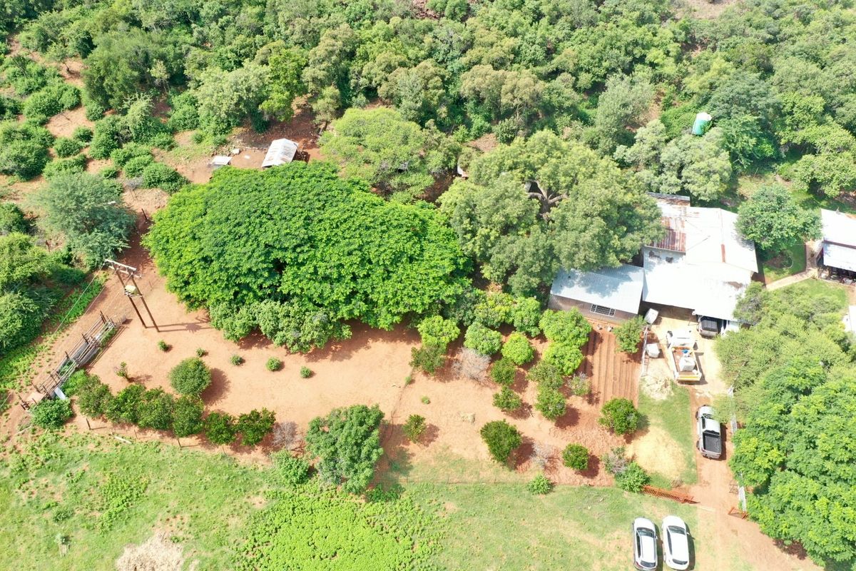 BEAUTIFUL 21HA FARM FOR SALE NEAR MODIMOLLE – PRIME LOCATION ON R101 - Photo 4