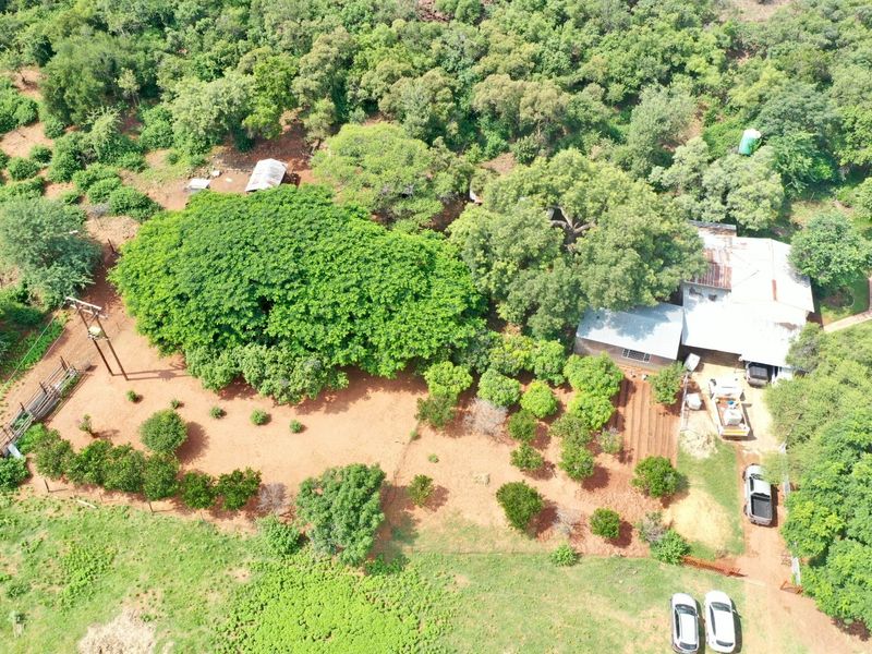 BEAUTIFUL 21HA FARM FOR SALE NEAR MODIMOLLE – PRIME LOCATION ON R101 - Photo 4