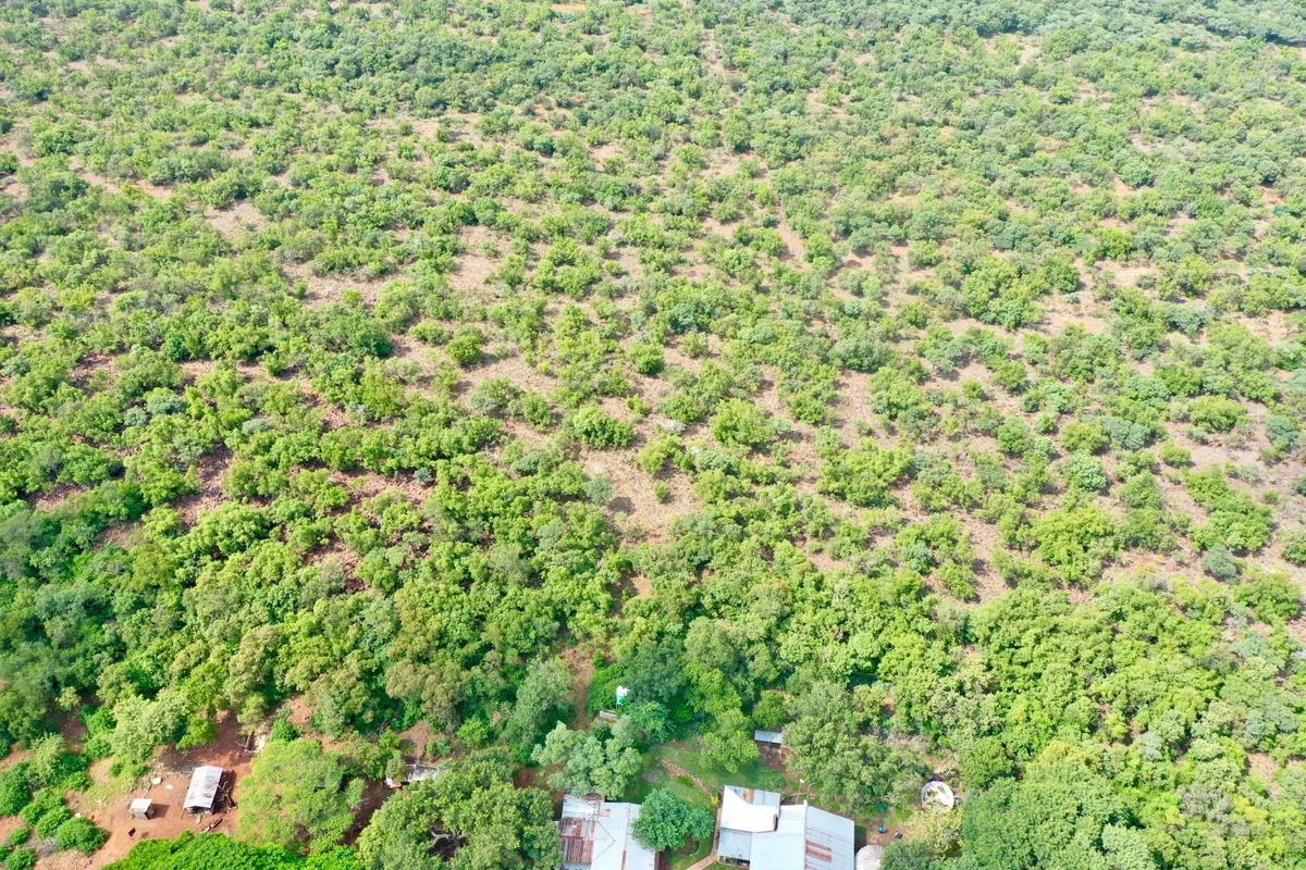 BEAUTIFUL 21HA FARM FOR SALE NEAR MODIMOLLE – PRIME LOCATION ON R101 - Photo 3