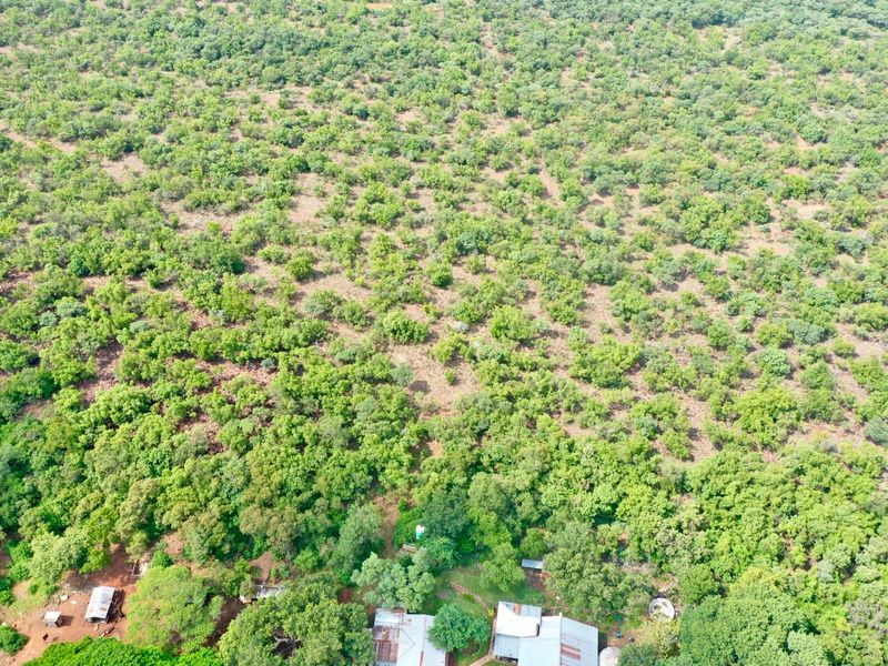 BEAUTIFUL 21HA FARM FOR SALE NEAR MODIMOLLE – PRIME LOCATION ON R101 - Photo 3