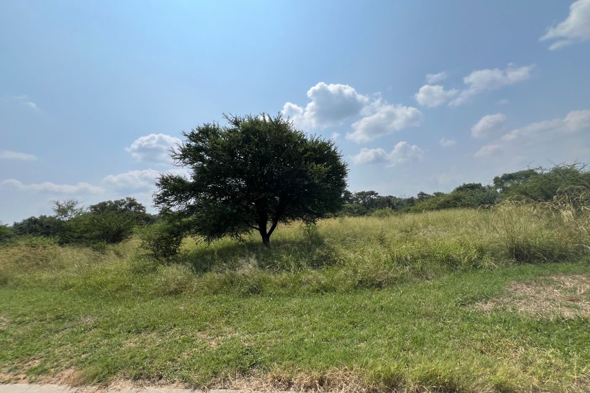 A view of a vacant residential plot featuring natural grassland and mature trees under a clear blue sky.