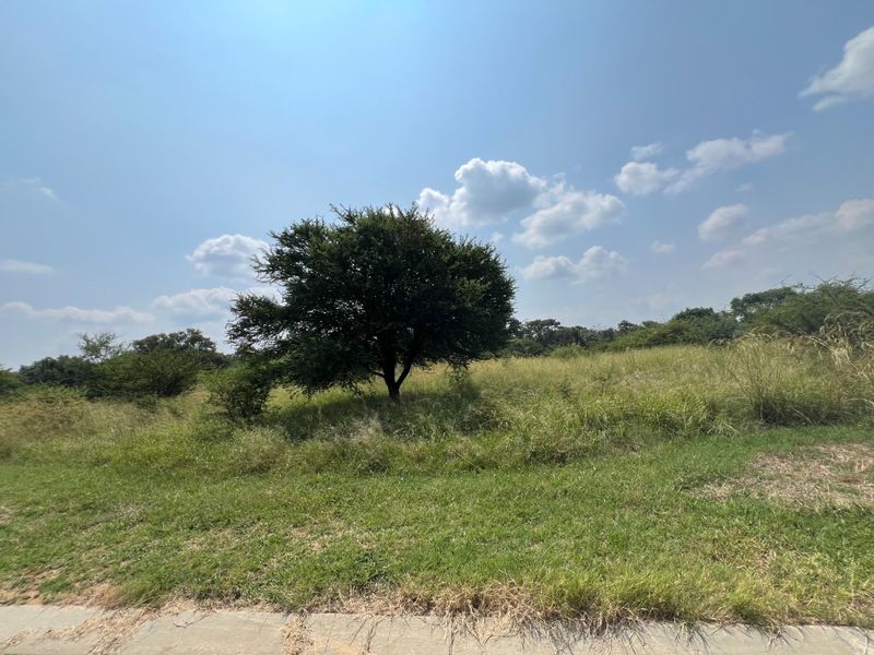 A view of a vacant residential plot featuring natural grassland and mature trees under a clear blue sky.