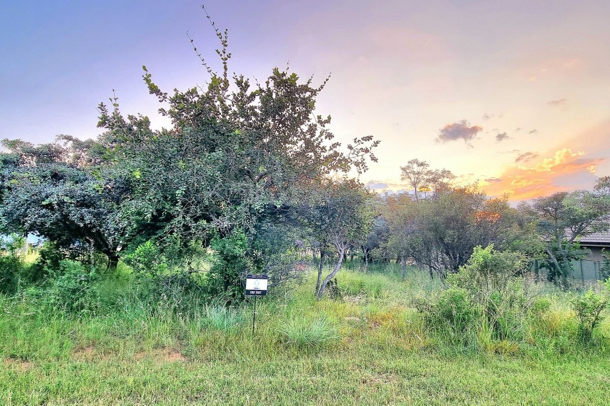A view of a vacant residential plot featuring established trees and natural vegetation at sunset.