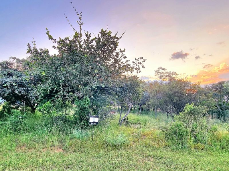 A view of a vacant residential plot featuring established trees and natural vegetation at sunset.
