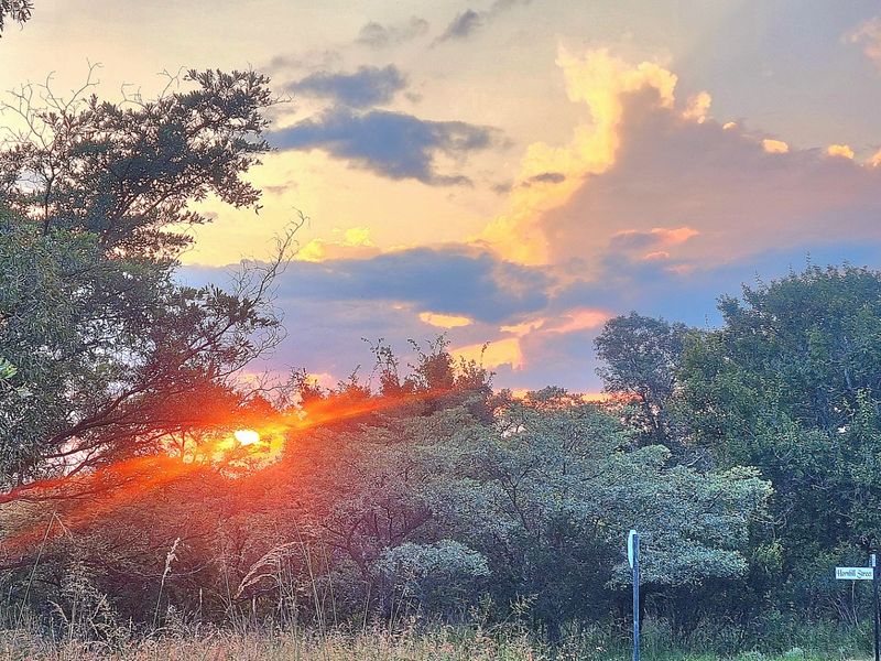 A scenic view of the natural landscape and mature trees at sunset on the residential vacant land.